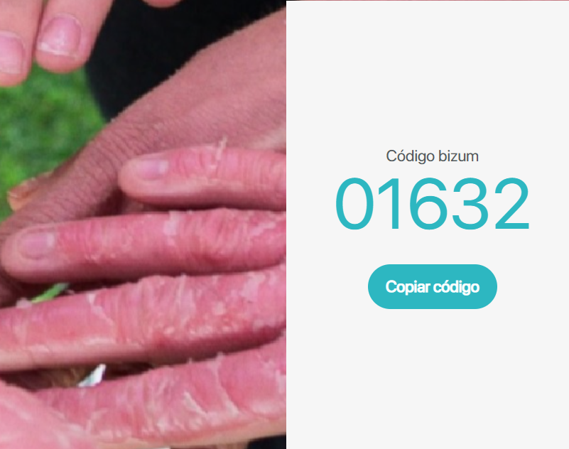 Bizum.Help verifica a ASIC como una causa fiable para donar