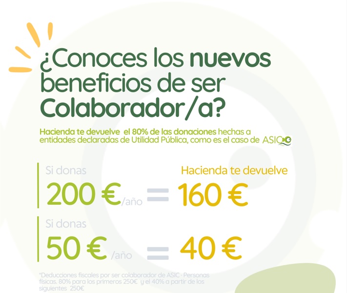 Cambios en la Ley de Mecenazgo y cómo te benefician si haces una donación a ASIC